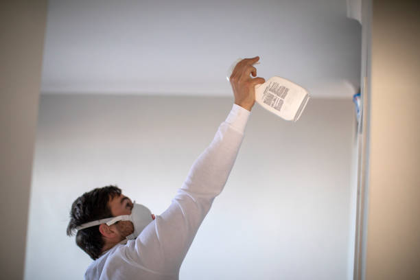 Best Mold Testing  in Gig Harbor, WA